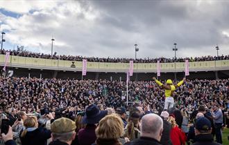 Cheltenham Festival crowds in the parade ring