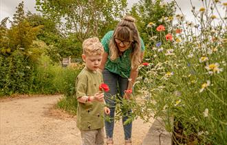 A boy and his mum stand in a wildlife area at Cotswold Farm Park looking at a red poppy