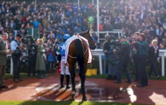 New Year's Day Racing at Cheltenham Racecourse