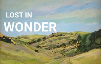 Lost in Wonder