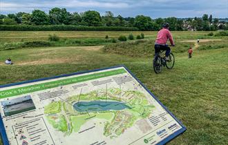 Cox's meadow Cheltenham