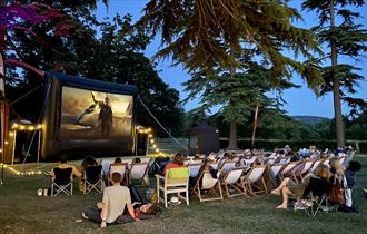 Top Gun Maverick Alfresco Cinema Night