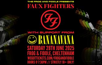 FAUXFIGHTERS poster