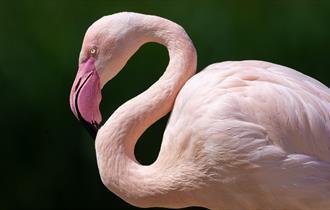 Slimbridge