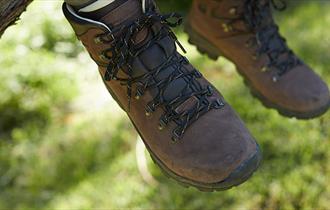 Pair of walking boots