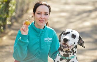 Women with a dalmation