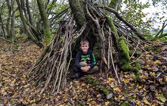 Boy in a den made from sticks
