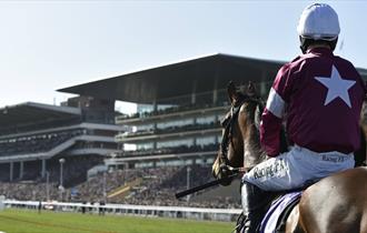 Jockey at Cheltenham Racecourse