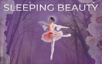 Sleeping Beauty