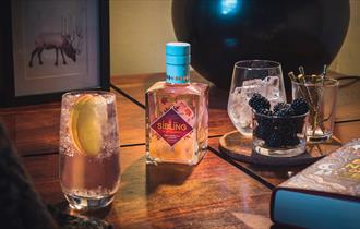 Sibling Gin