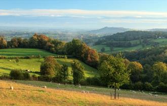 Cotswold Journeys