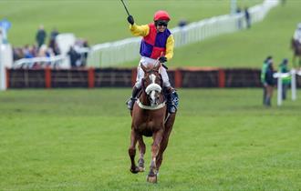 The Cheltenham Gold Cup