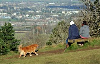 People sat on a bench with a dog on Leckhampton Hill and Charlton Kings Common in Cheltenham.