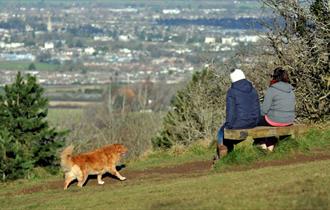 Leckhampton Hill and Charlton Kings Common in Cheltenham