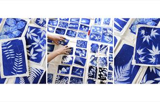 'Cyanotype Workshop' for beginners