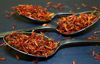 Saffron spice