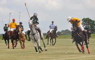 Learn polo at one of Prince Harry's clubs