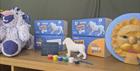 Paint your own Lion kits