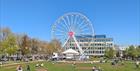 Observation Wheel Cheltenham April 2025
