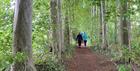 walk