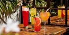 Four colourful cocktails on a wooden table with plants in the background