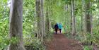 walk