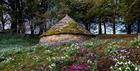 Colesbourne Park Ice House - Snowdrops & Cyclamen