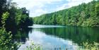 Image of a lake in summer