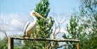 Slimbridge