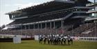 Runners racing down towards the grandstand at Cheltenham