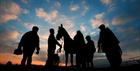 Silhouette of Jockeys and a horse