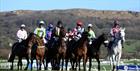 Runners getting ready before The Festival Trials at Cheltenham Racecourse