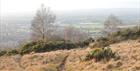 Cleeve Hill
