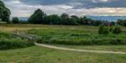 Cox's meadow Cheltenham