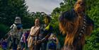 Festival goers in fantasy dress