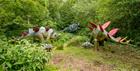 Jurassic Journey at Birdland photo by Cotswold House Photography