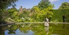 Mirror Pool - James Dobson