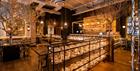 Mowgli interior
