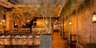 Mowgli interior