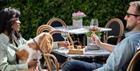 Guests enjoying outdoor dining with a dog