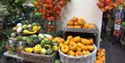 Selection of fruit and vegetables