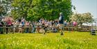 A man in short sleeved shirt and gilet stands in a field commanding his black sheepdog in front of a captive audience on a sunny Cotswold day.