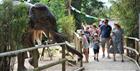 Giant elephant sculpture in the Animal Ark