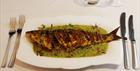 Grilled fish in a green jus at East India Cafe Cheltenham