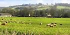 Guiting Power - village scene