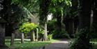 St Mary's Minster grounds