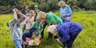 Group of people using sweep nets to look at bugs in a meadow