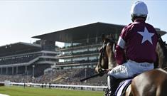 Jockey at Cheltenham Racecourse