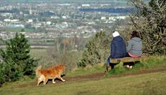 Leckhampton Hill and Charlton Kings Common in Cheltenham