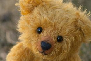 Teddy Bear